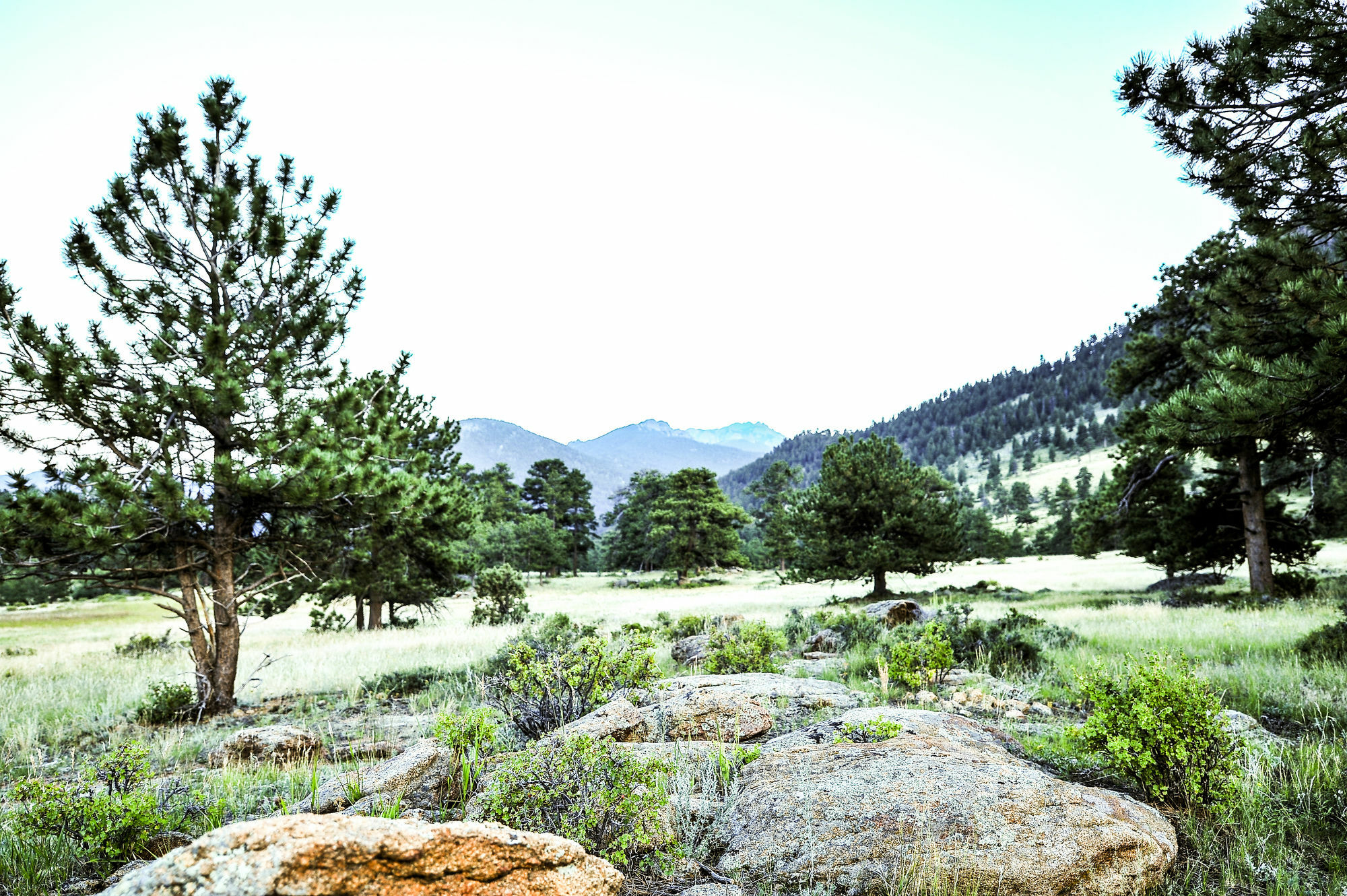 The Historic Crag'S Lodge Estes Park Exteriér fotografie